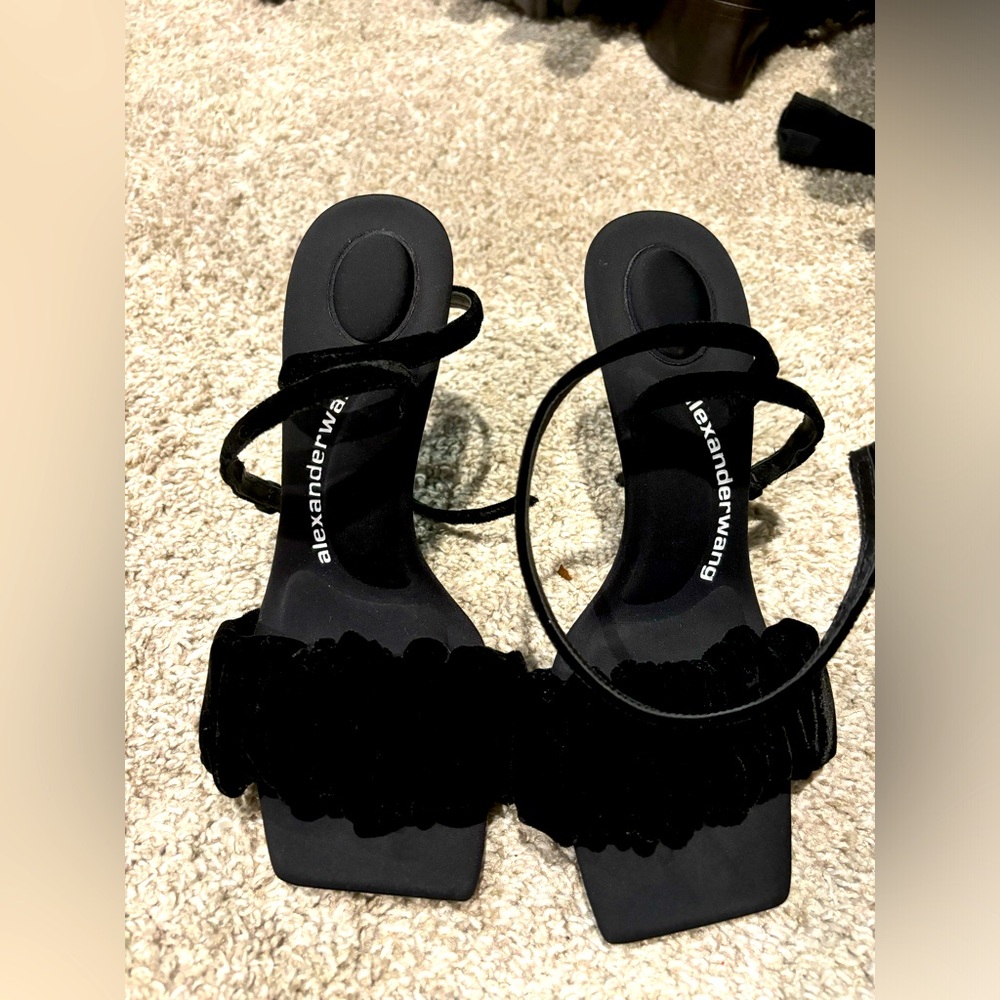 Alexander wang